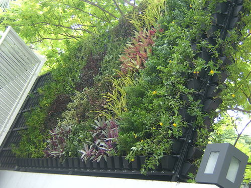 Wall garden