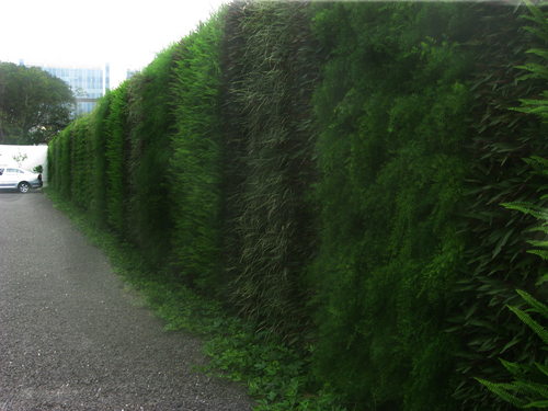 Wall garden 1