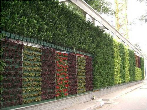 Wall garden 3