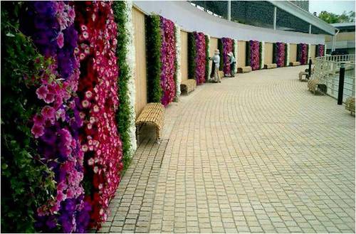 Wall garden 4
