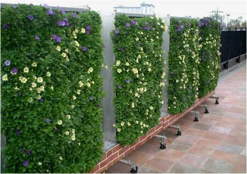 Wall garden 5