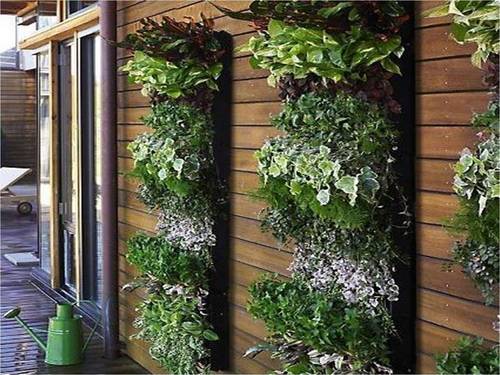 Wall garden 6
