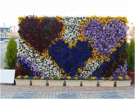 Wall garden 8