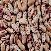 Rajma Chitra - Dried Beans, 5-8 Mm, Reddish-brown | High Protein, Nutritious, Versatile, Kidney-shaped
