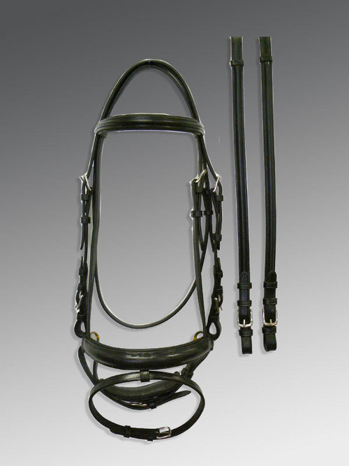 double bridle