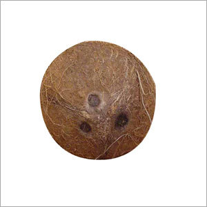 Natural Coconut