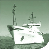 Marine Plywood