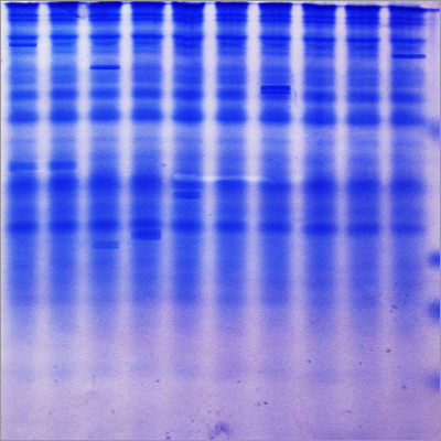 Biotechnology products