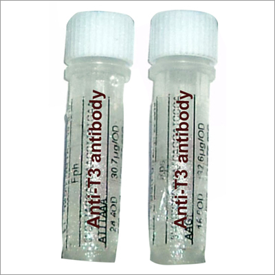 Anti T3 Antibody