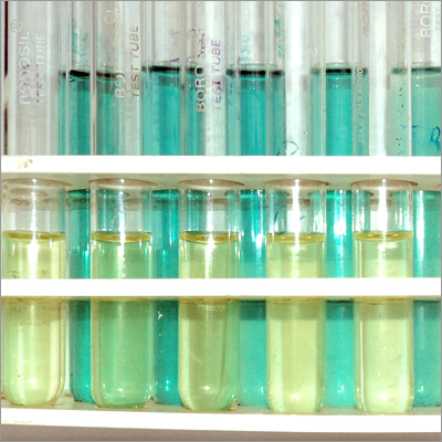 Antioxidant Analysis