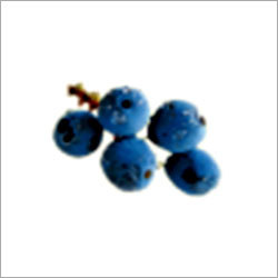 Blueberry Flavoured Ice Cream