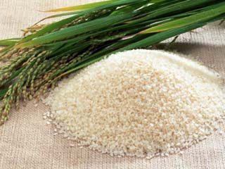 Rice