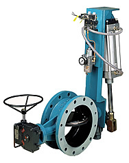 Butterfly Valve
