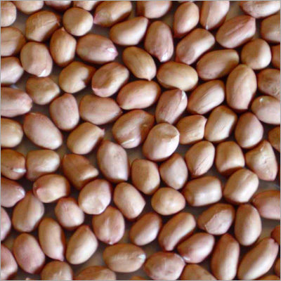 Groundnut Kernels
