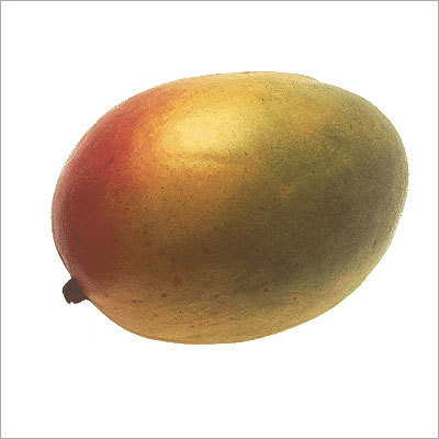Fruits Mango