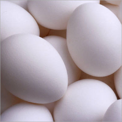 White Chicken Egg