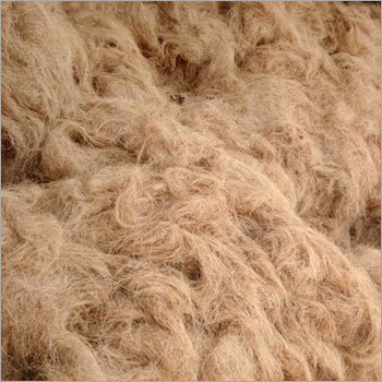 Coir Fibre