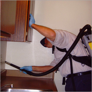 Pest Control Service
