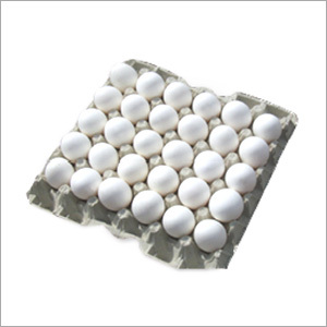 Egg Trays