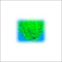 Phosphorescent Pigments