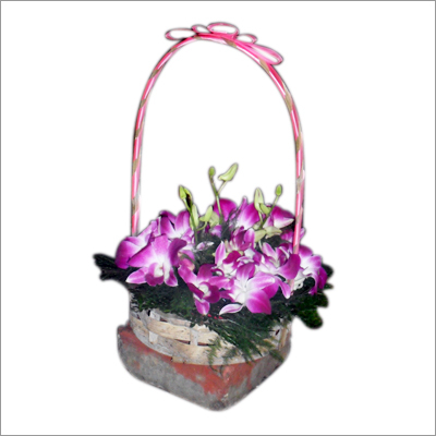 Orchid Basket