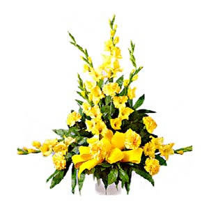 Gladioli Flowers