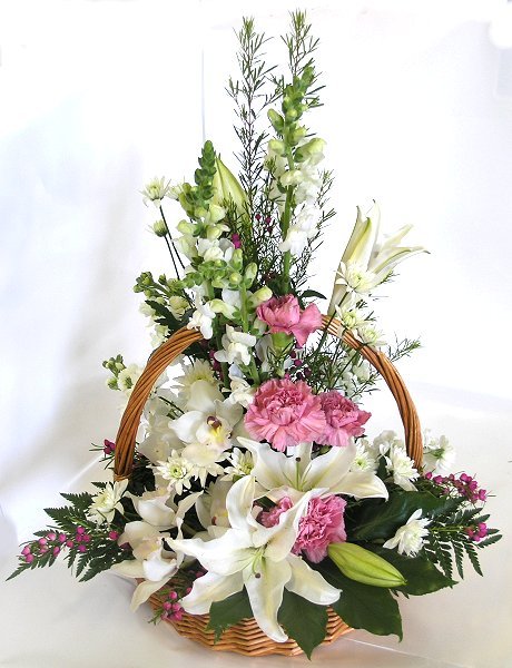 Carnation Flowers