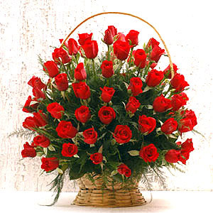 Cut Red Roses
