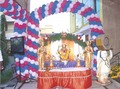 Balloon Decoration