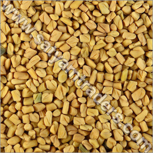 Fenugreek Seed