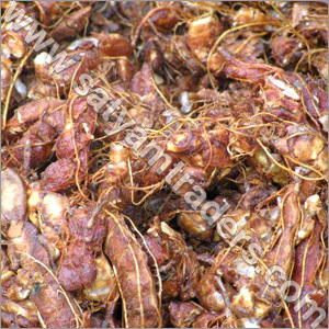 Tamarind Seed