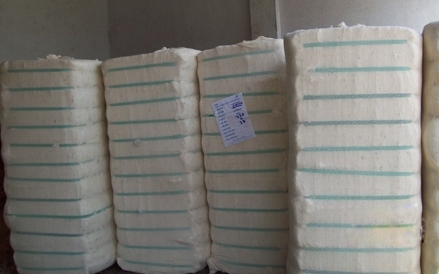 Cotton Bale Strap/ Bale Strap