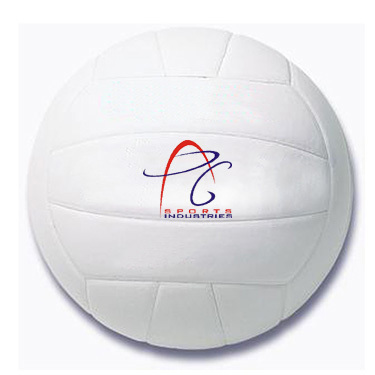 Vollyballs