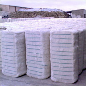 Cotton Bales