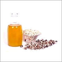 Coleus Extract, Forskolin 10%