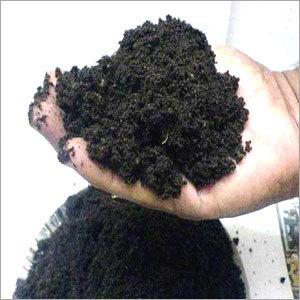 Vermicompost Manure