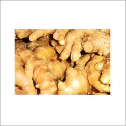 Fresh Ginger