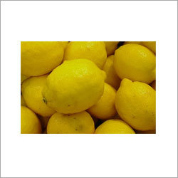 Fresh Lemon