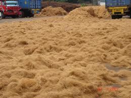Coir Pith Fibre