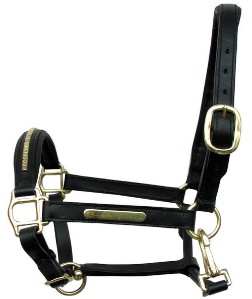 leather clothering
