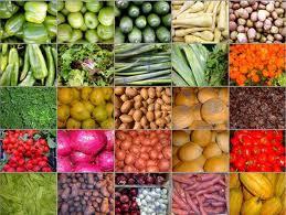 Fresh Agriculture Products