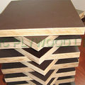 Film Faced Shuttering Plywood