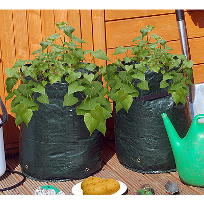 Growbag