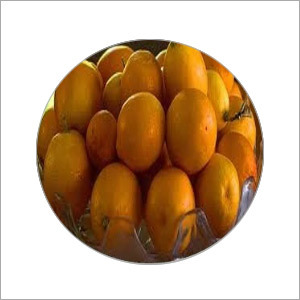 Fresh Organic Mango