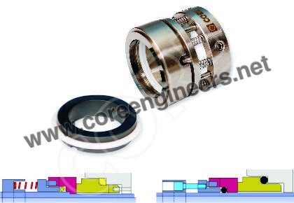 Multi Spring Pusher Seal Size: 22mm To 100mm