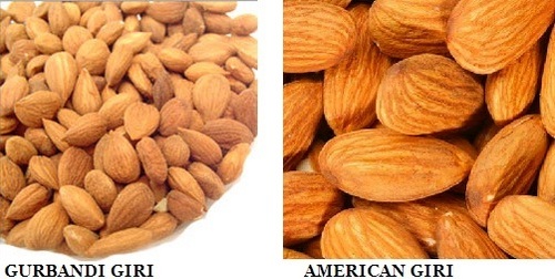 Almond