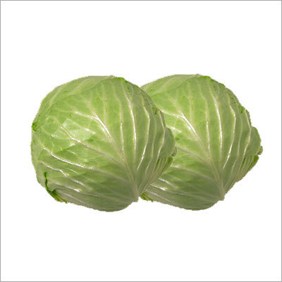 Cabbage