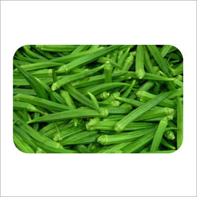 Lady Finger