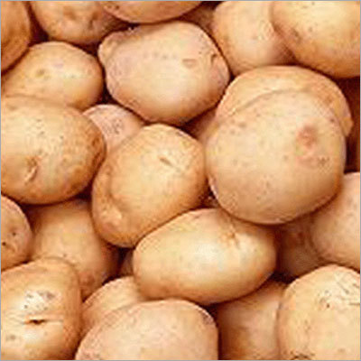 Potato