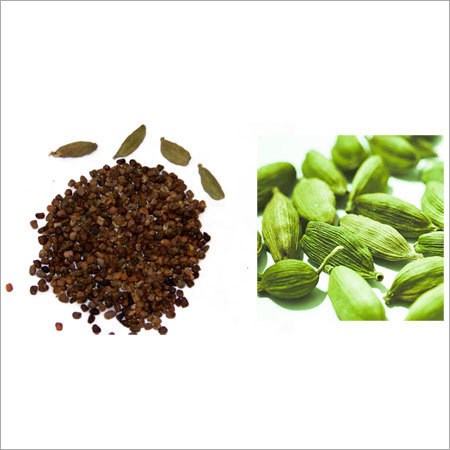 Green Cardamom